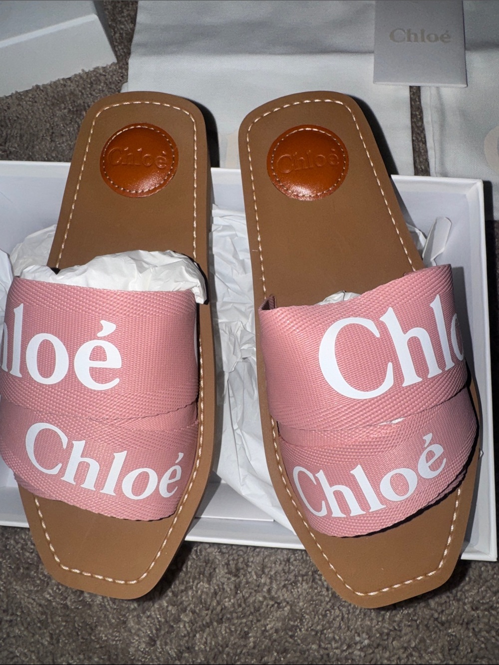 Chloé Delicate Pink Women’s Sandals
